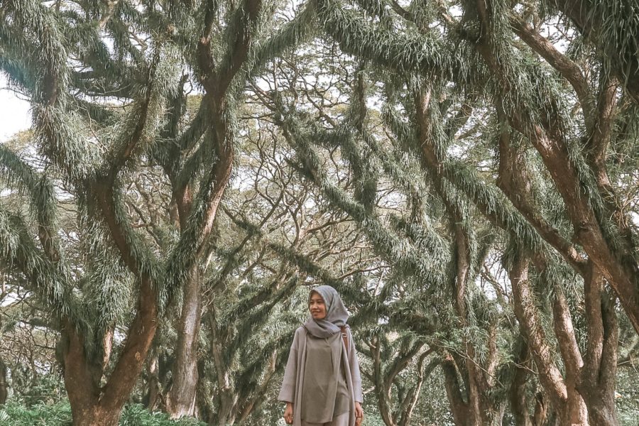 Banyuwangi Menjangan 3 Hari 2 Malam (Open Trip)