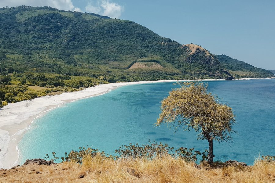 Alor 4 Hari 3 Malam (Open Trip)