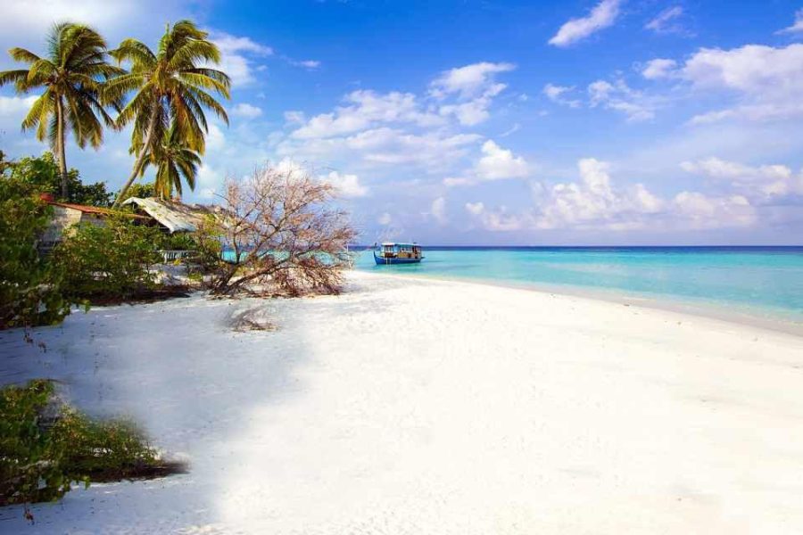 Pulau Pramuka 2D1N (Open Trip)